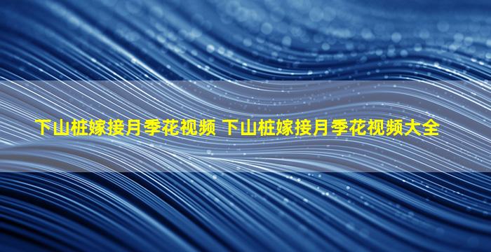 下山桩嫁接月季花视频 下山桩嫁接月季花视频大全